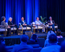 Placeholder image for Panel format