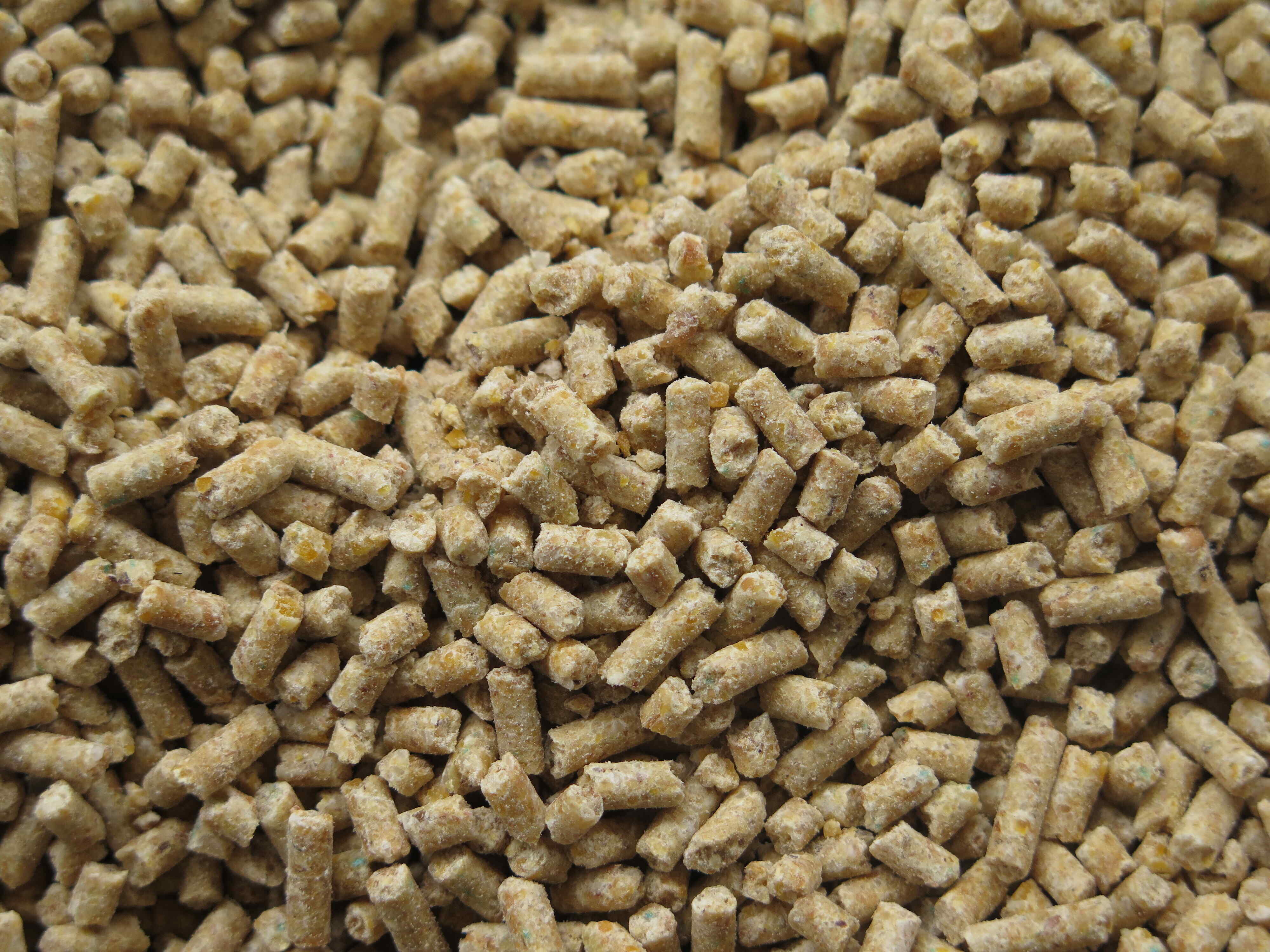 Bentonite animal feed additives