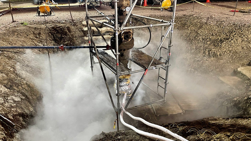 Cryogenic freeze services 