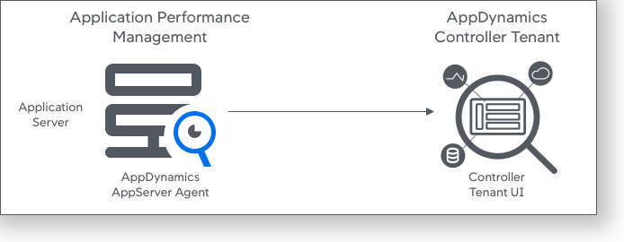 Application Performance Monitoring