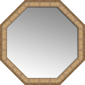 Garcelle Mirror, Octagon 