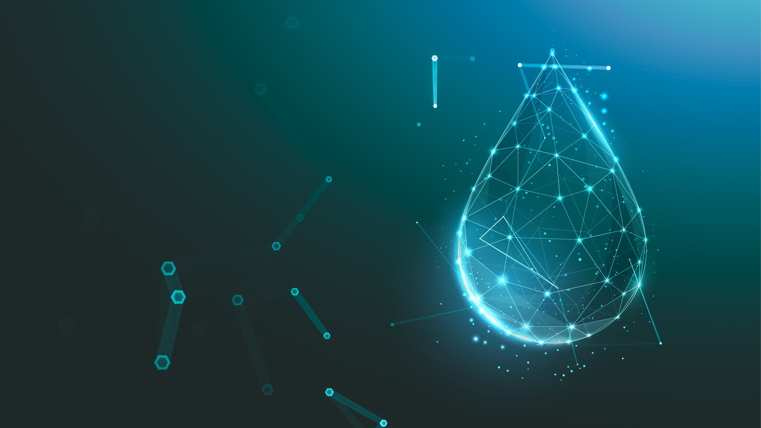 Halliburton Water® Water Control