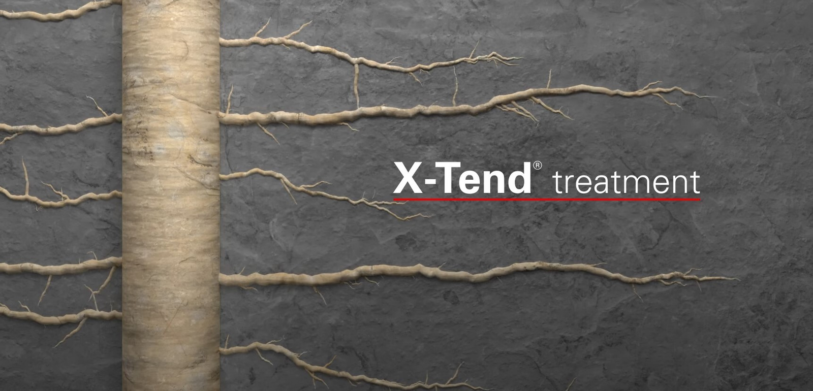 X-Tend® Acid Stimulation Service