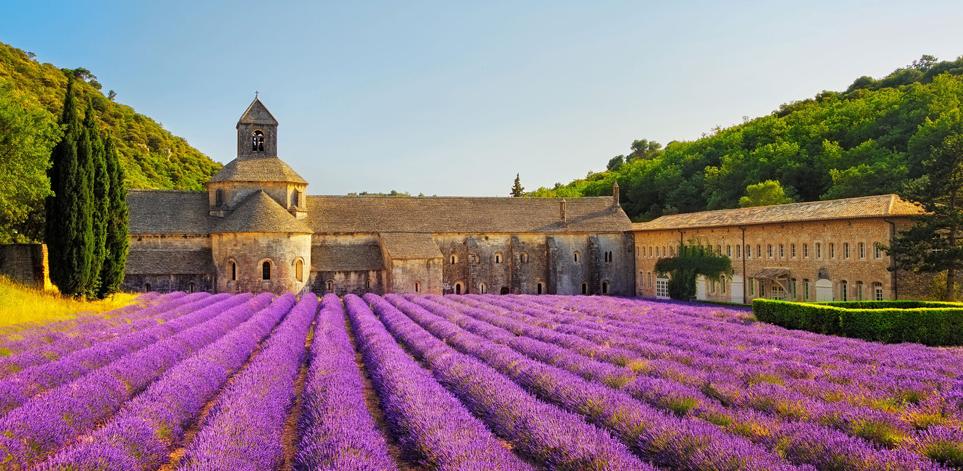 up close in provence