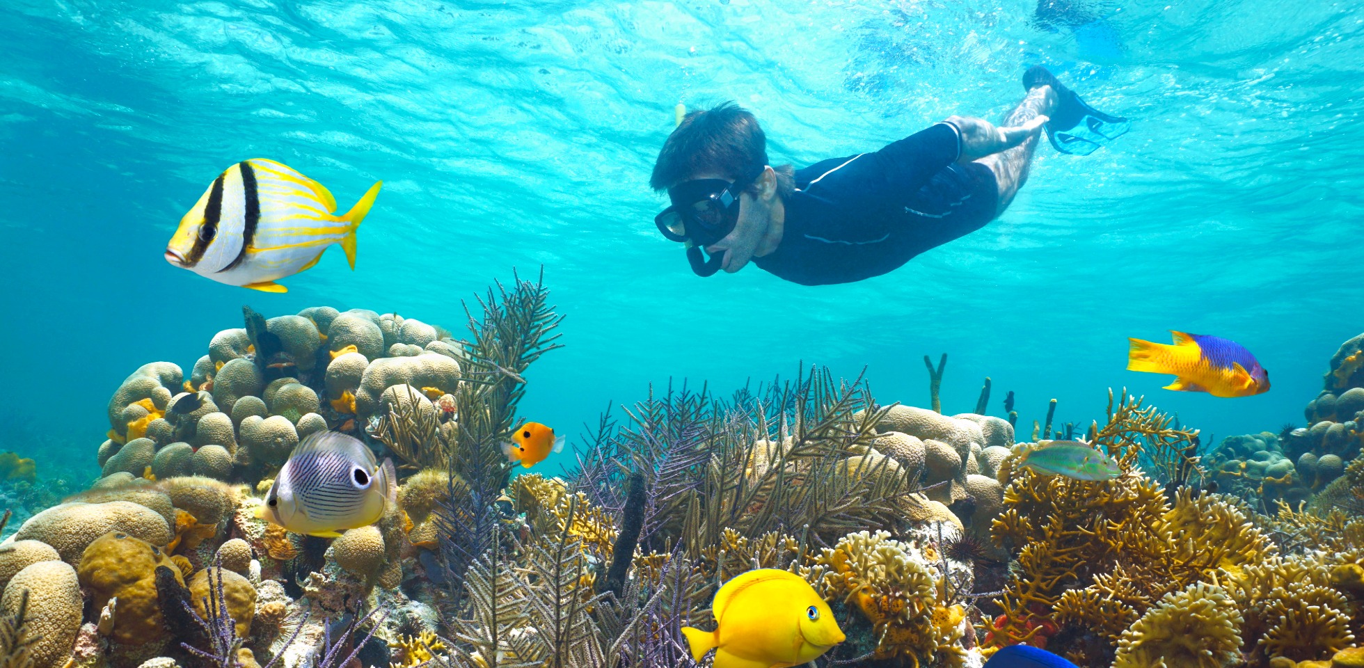 SNorkeling