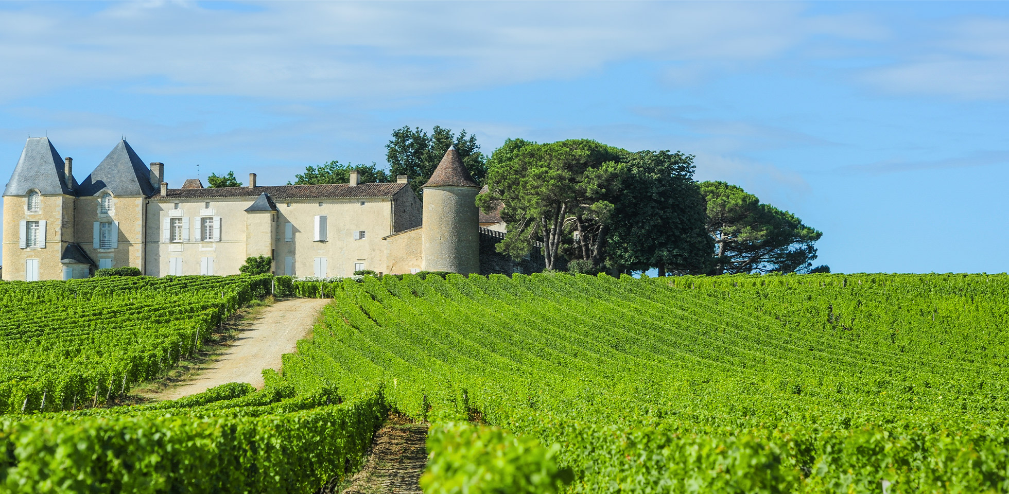 winery bordeaux