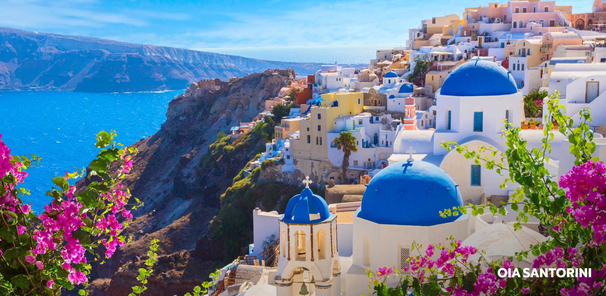 SANTORINI FLOWERS