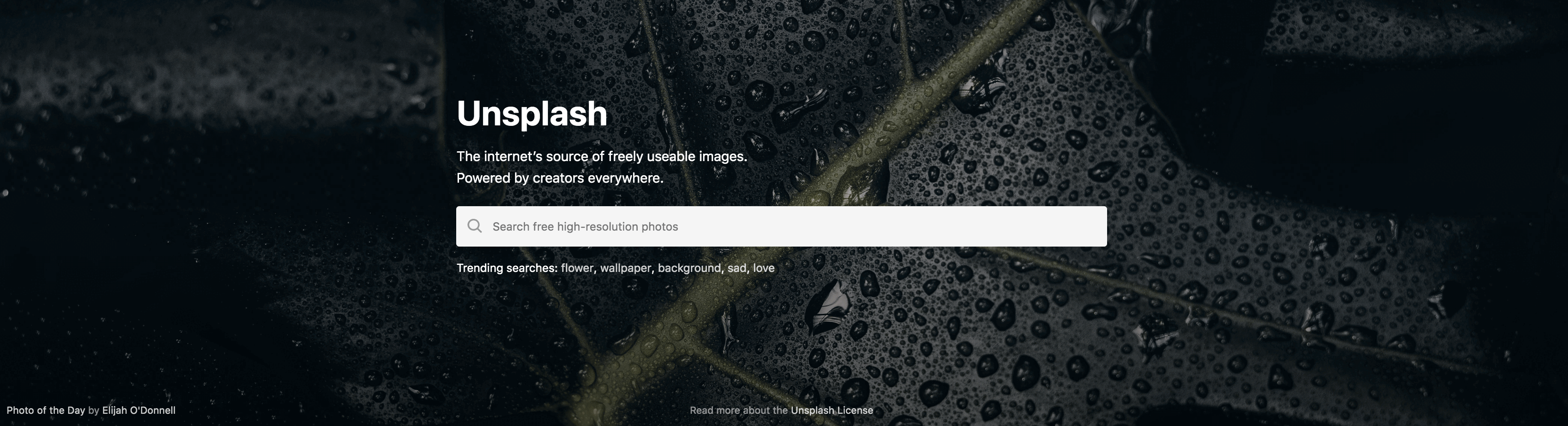 Unsplash home page