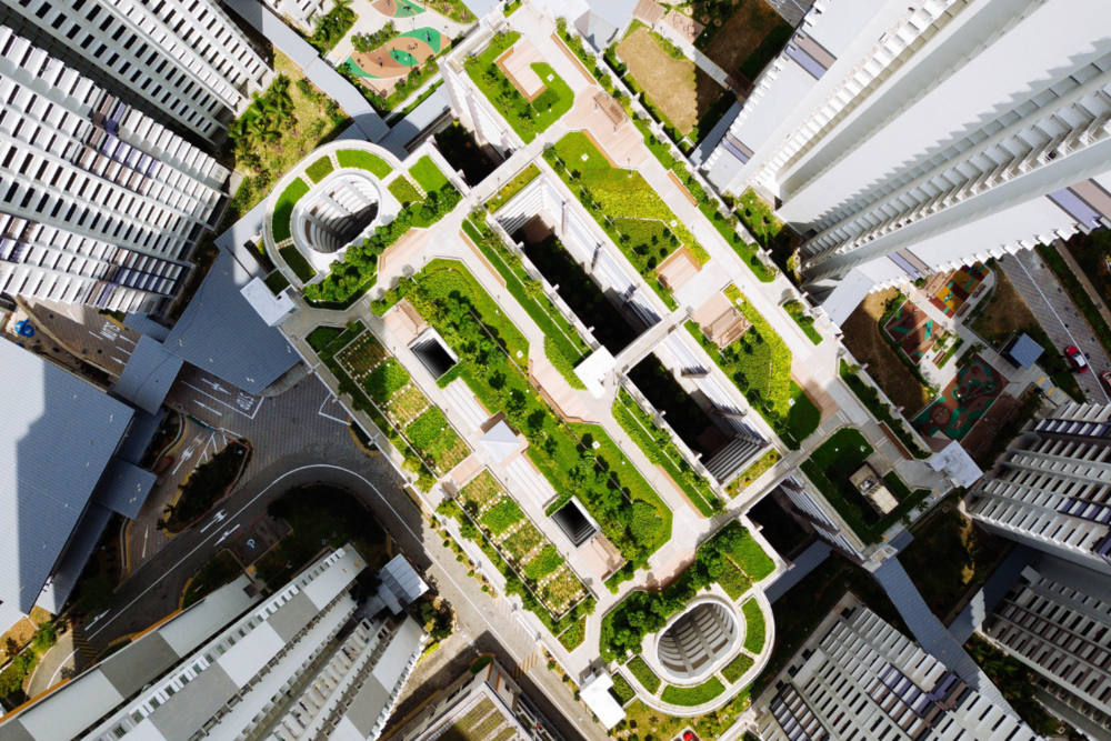 Green Roof Sustainability