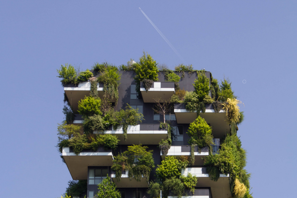 Corporate Sustainability Green Building Image