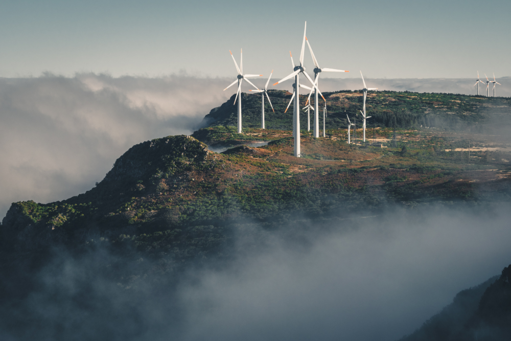 Wind Turbines in the Mist - Sustainability