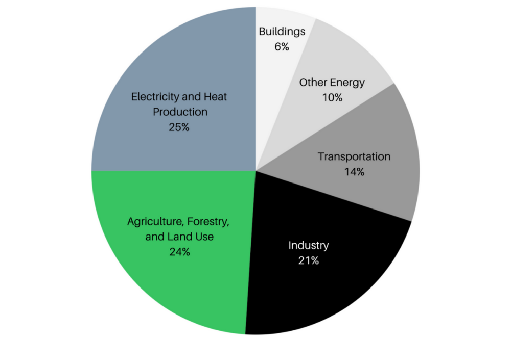 Climate Environment Accelerator Blog-All