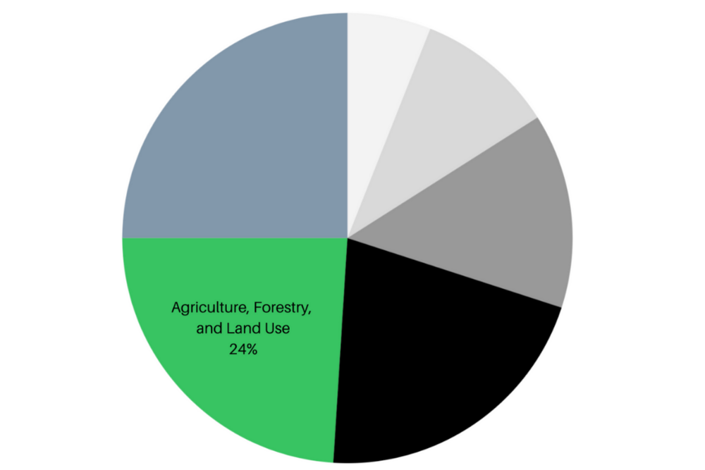 Climate Environment Accelerator Blog-Agriculture