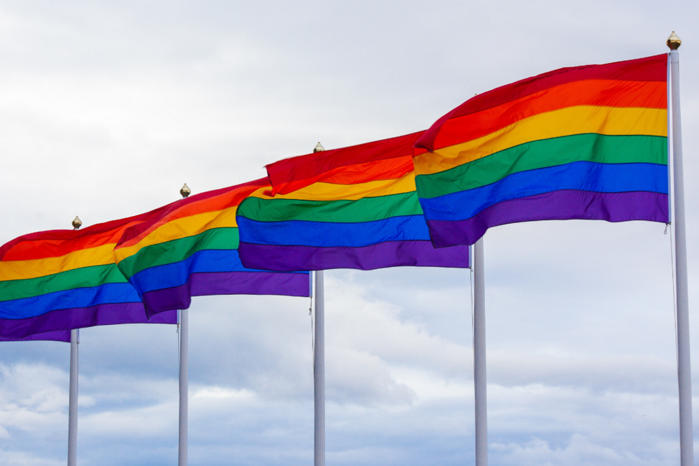 Pride Rainbow Flags Image