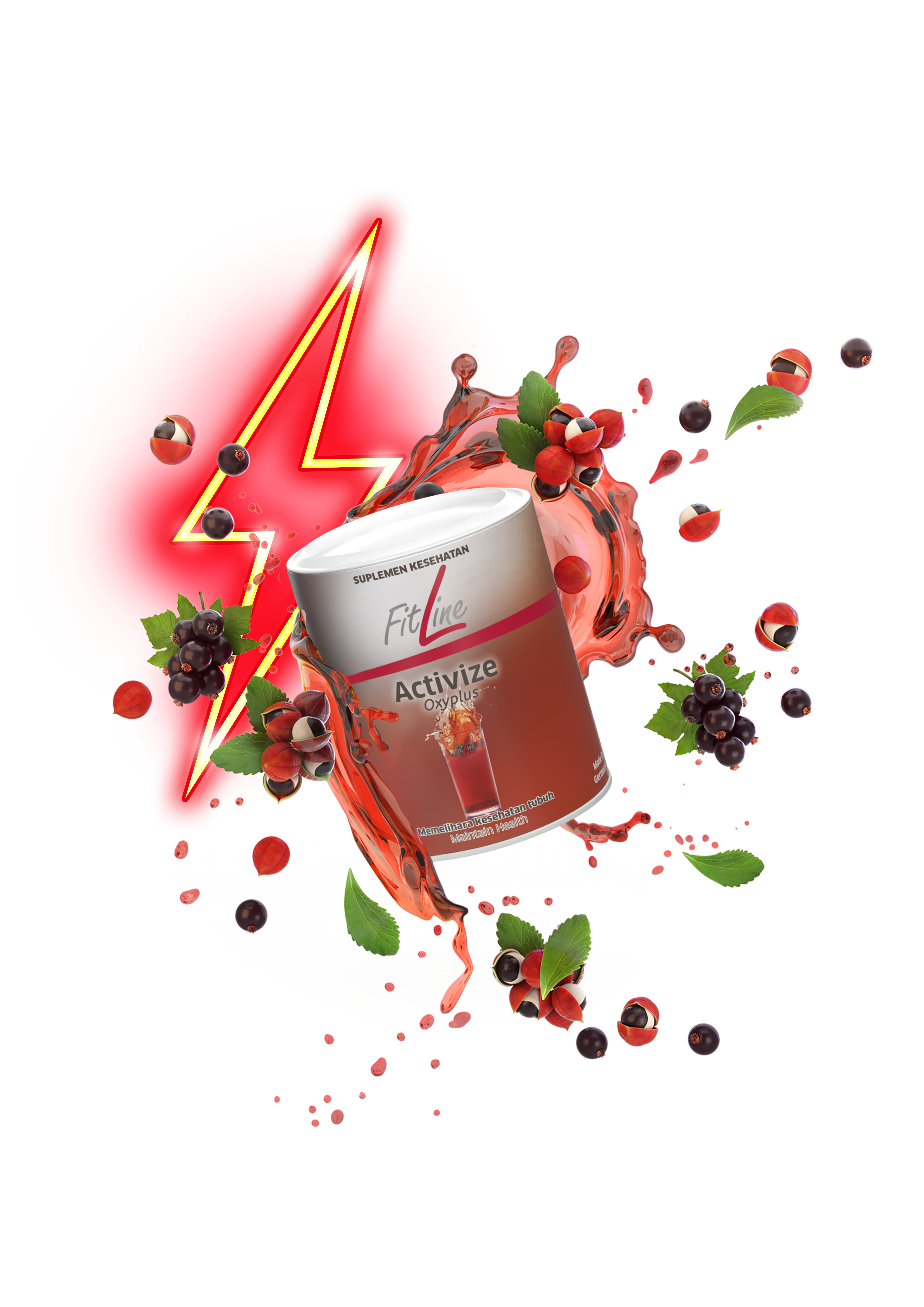 FitLine Activize