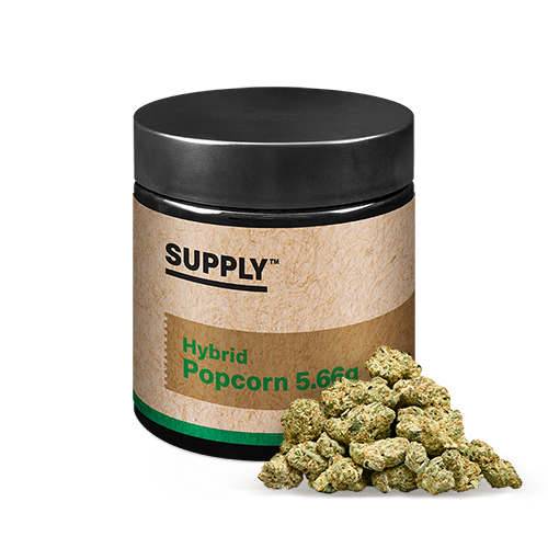 Supply Hybrid Popcorn 5.66g - Animal Face - OH