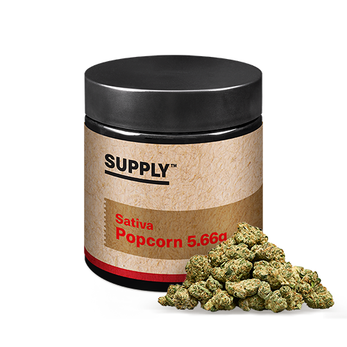 Supply Sativa Popcorn 5.66g - Durban x Blue Dream - OH