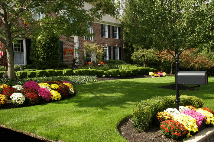 Mailbox and a colorful flower bed