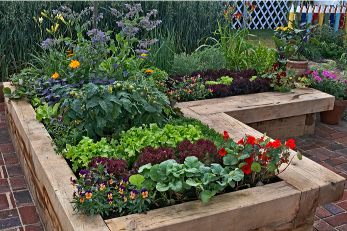 An edible garden in an outdoor living space