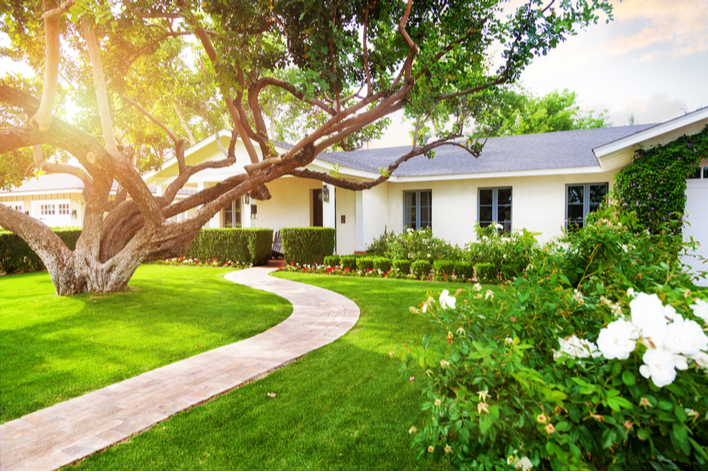 A white ranch-style house with exterior updated through landscaping