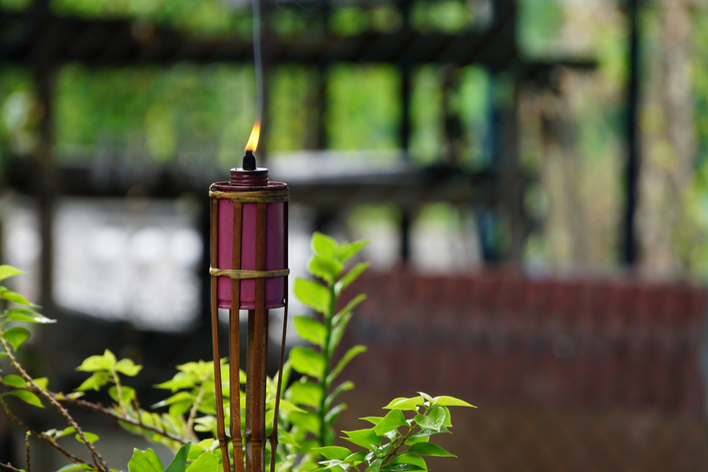 Citronella candles placed in a backyard to repel mosquitos