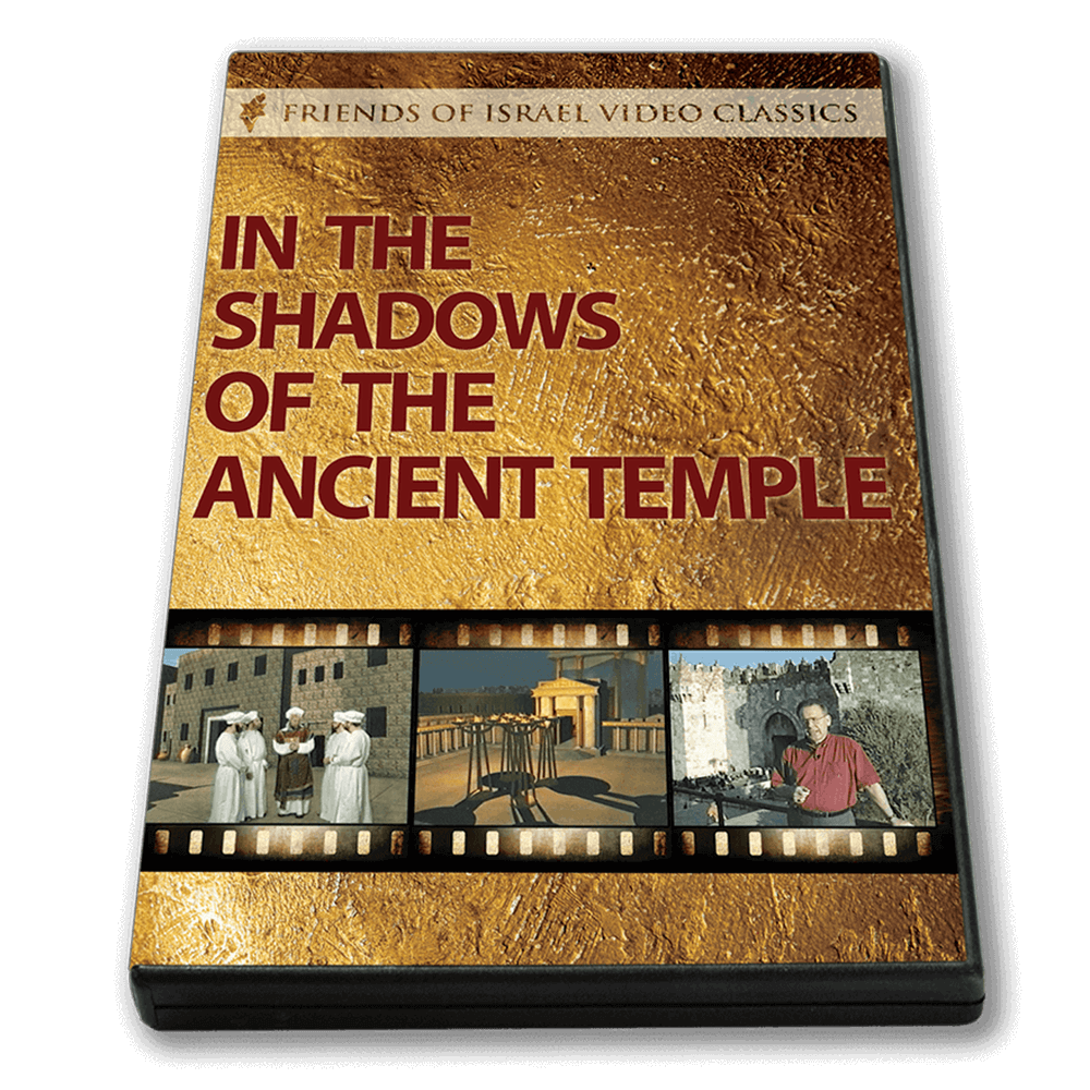 In the Shadows of the Ancient Temple DVD