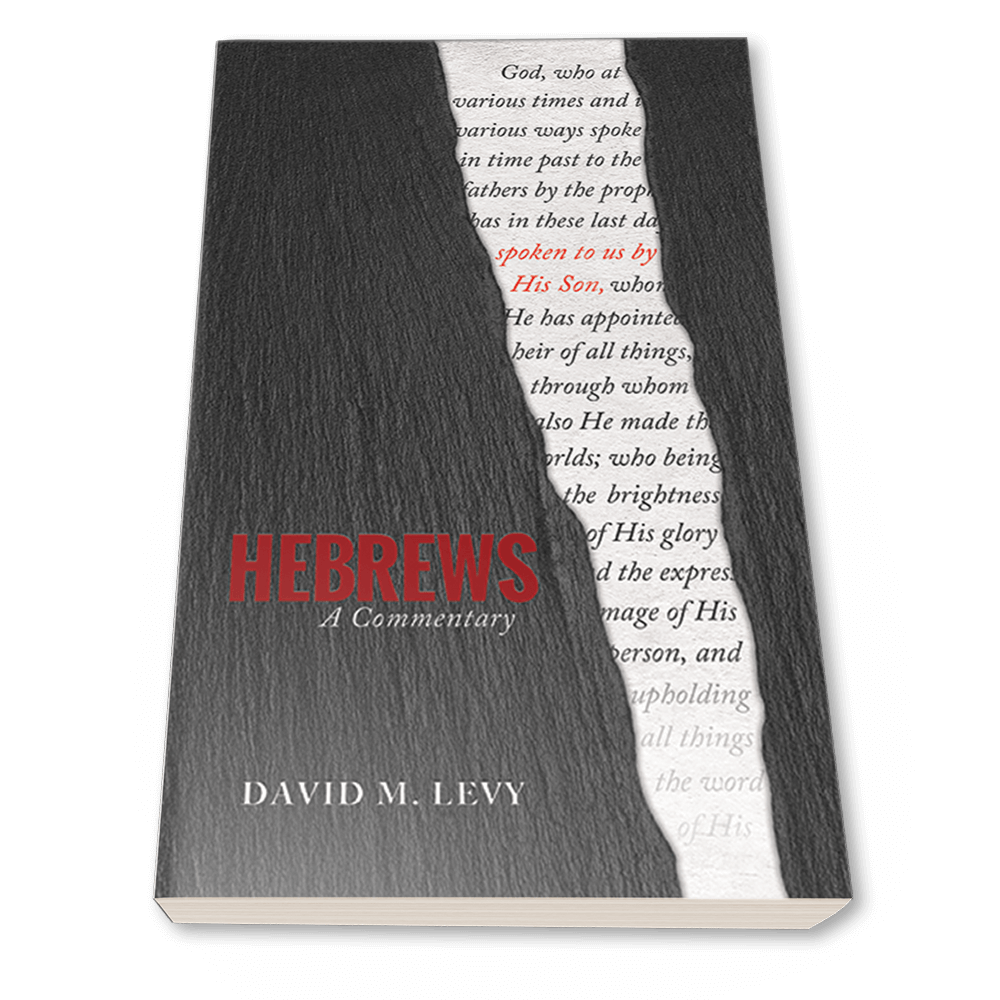 Hebrews A Commentary