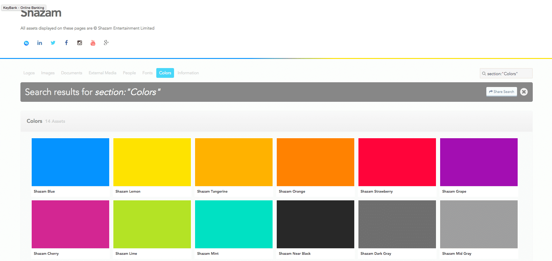 color section in Brandfolder