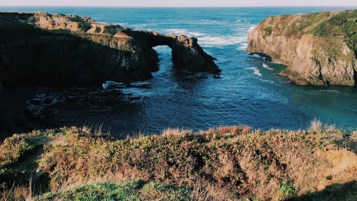 Brand Matter How DAM + Healthcare Changed the Game on Cancer