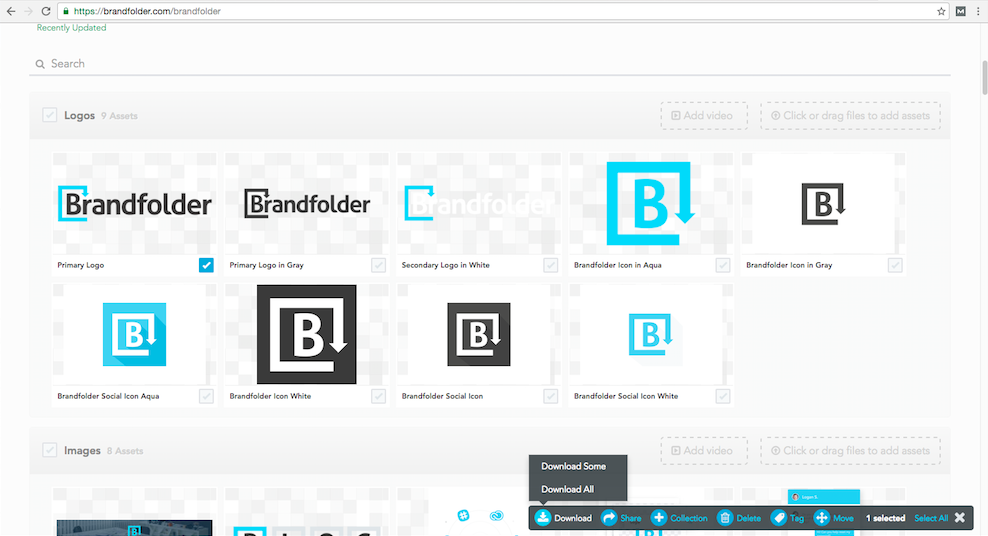 Download asset feature
