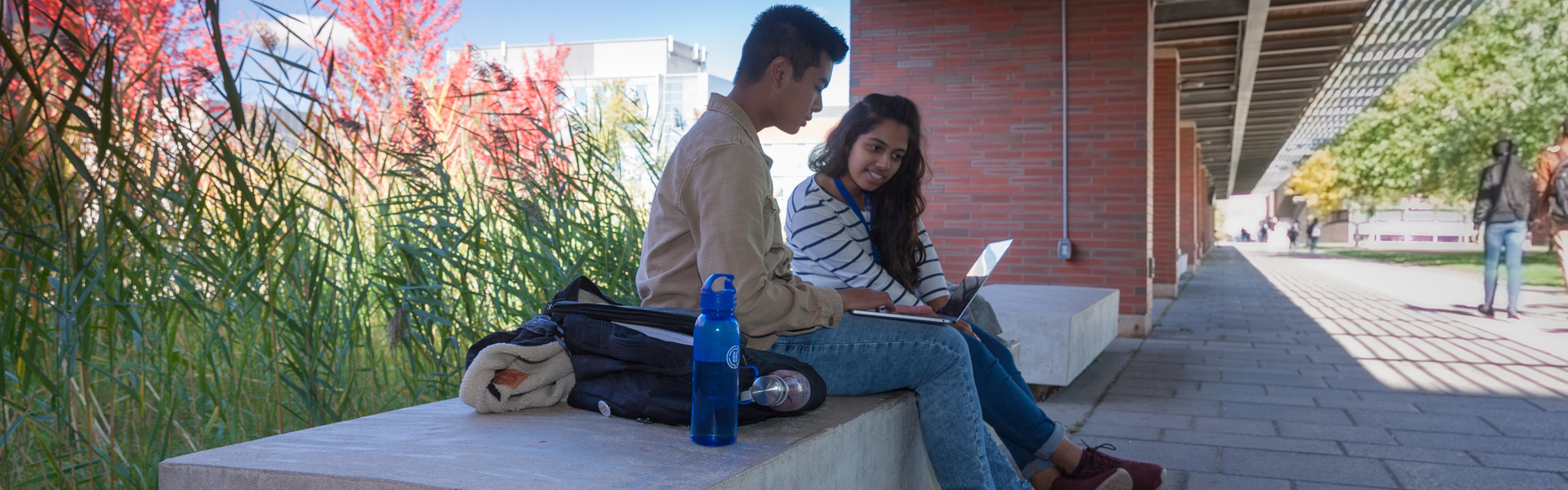 Students outside looking at a laptop