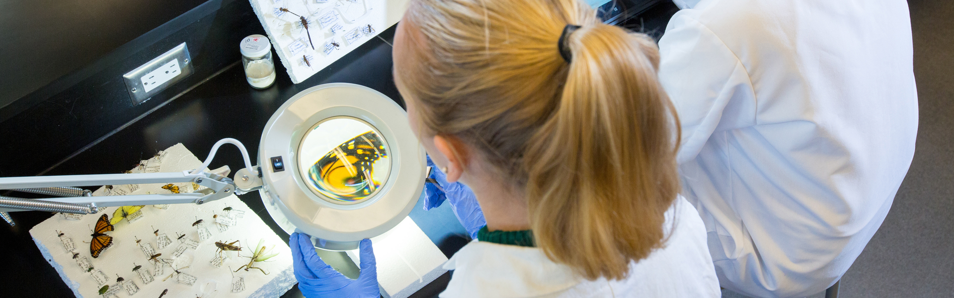 Students studing specimens with a magnifyer
