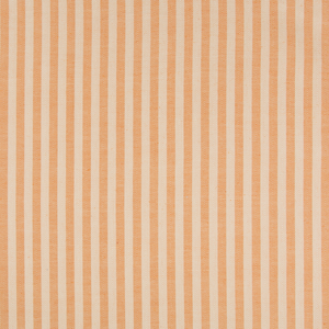 Rollo Stripe - Orange