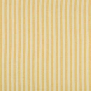 Rollo Stripe - Yellow