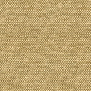Yorke Chenille - Gold With Beige
