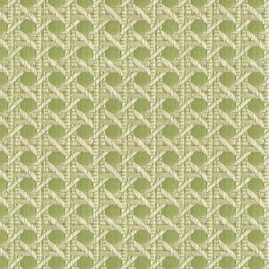 Monterey Woven Texture - Citron Green