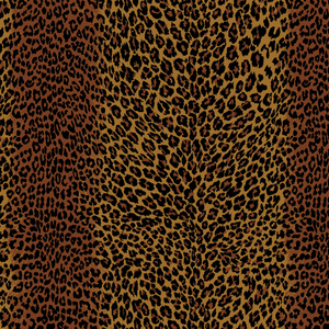 Leopard - Chocolate
