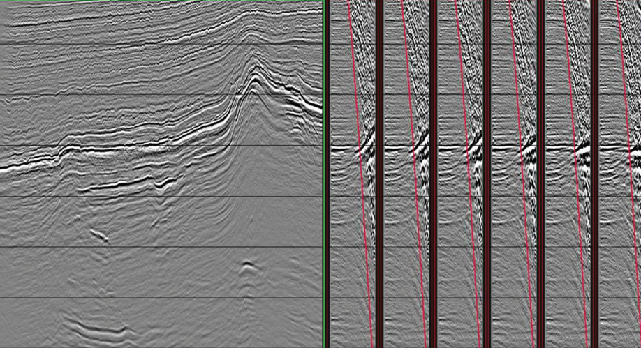 Screenshot of subsurface prediction for seismic processing 