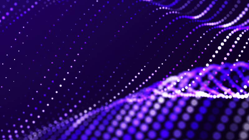 NETool® Software