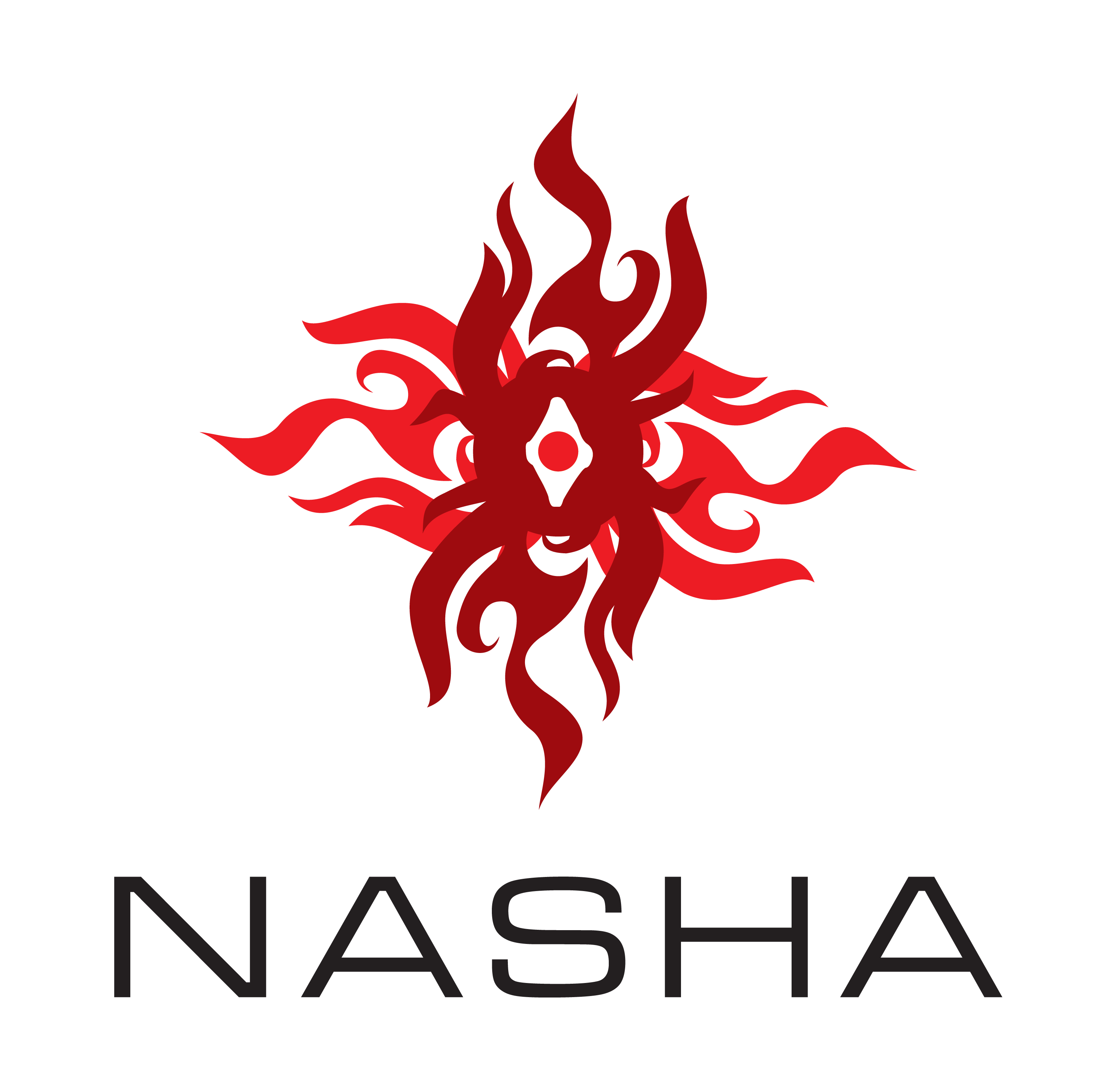 The logo of Nasha