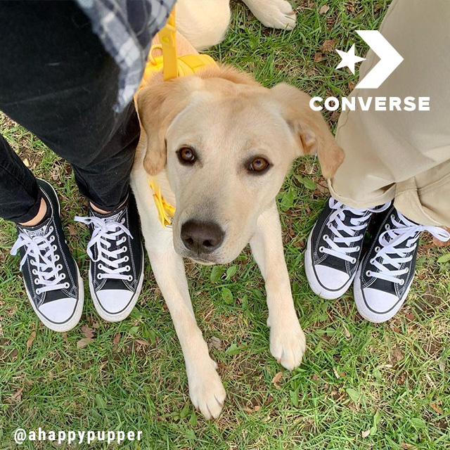 Classic & iconic styles from Converse Journeys