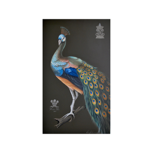 Peacock Painting 
