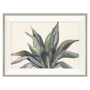 Agave Mia, By Barbara Barry 