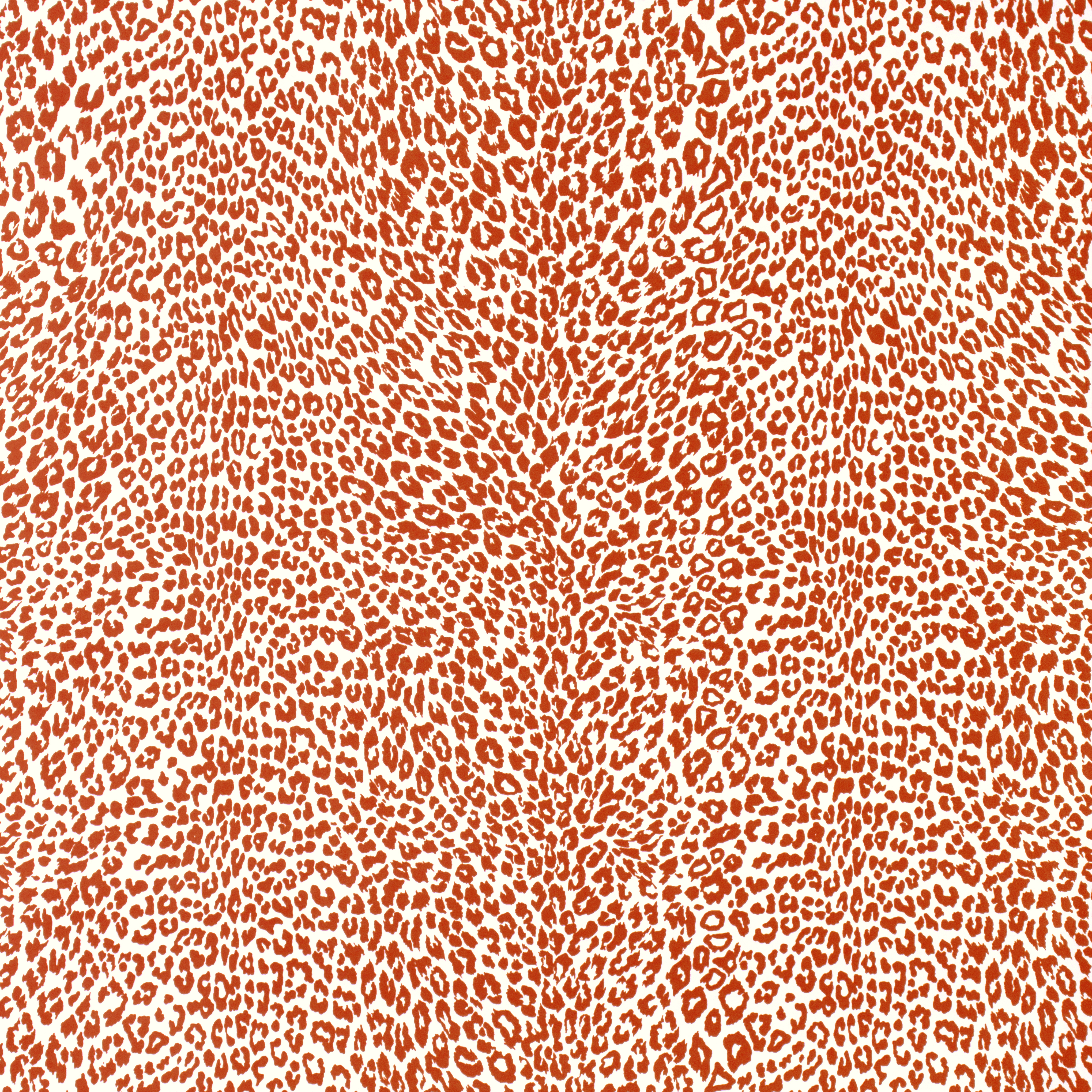 \""