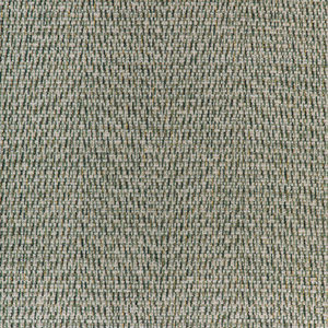 Diderot Texture - Green
