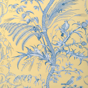 Bird And Thistle Ii - Sun