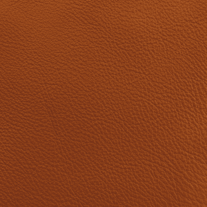 Lucky Leather - Adobe