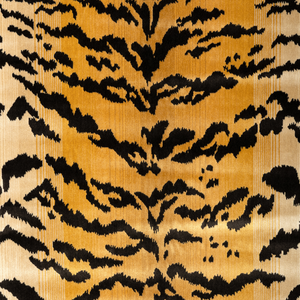 New Tiger Velvet - Natural