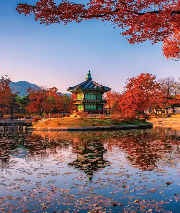 Temple on an EF South Korea tour in autumn.