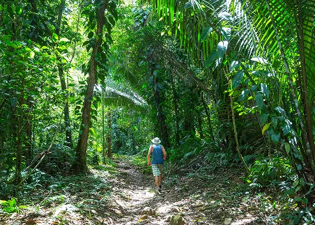 Take part in ecological fieldwork in the Belizean jungle and explore how scientists study the health of tropical ecosystems